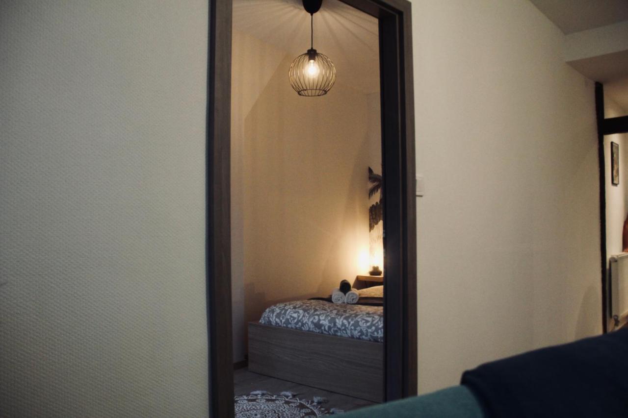 Apartament New Le Cocon Des Humanistes Sélestat Zewnętrze zdjęcie